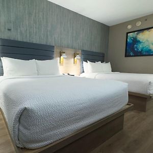 Double Room Two Double Beds Fridge Non-Smoking
